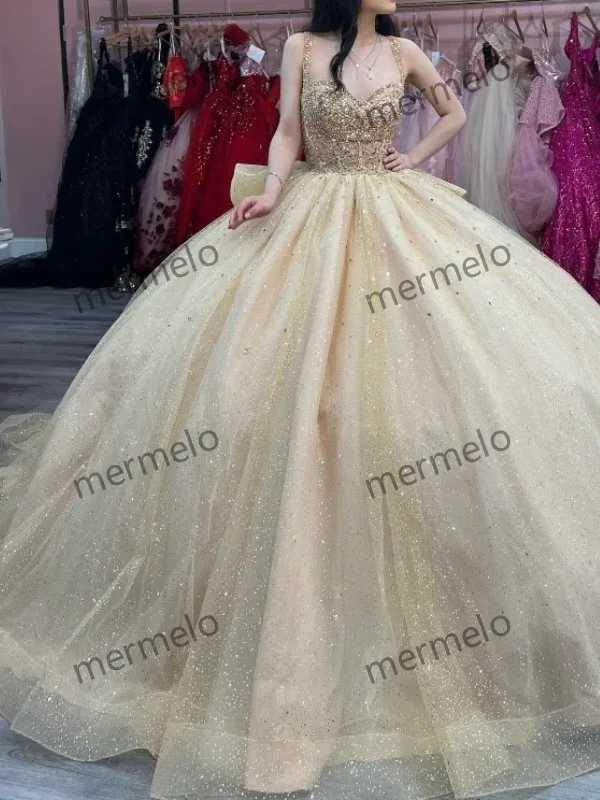 velvet dressChampagne Ball Gown Quinceanera Dresses Princess Birthday Party Dress